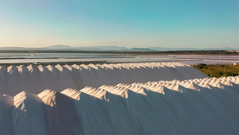 Lithium Lifeline: Can Mangrove Break China's Grip?